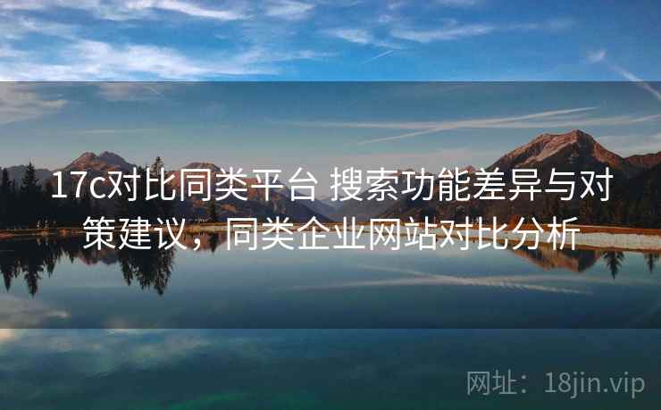 17c对比同类平台 搜索功能差异与对策建议，同类企业网站对比分析