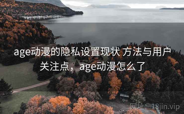 age动漫的隐私设置现状 方法与用户关注点，age动漫怎么了