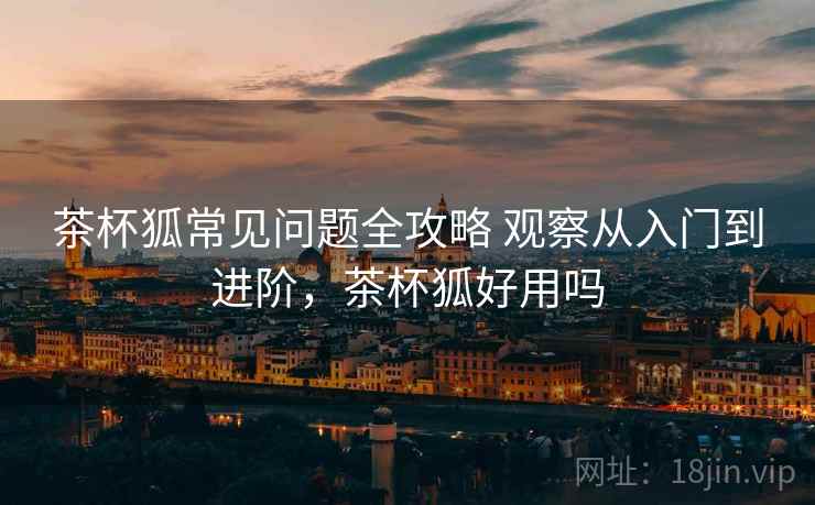 茶杯狐常见问题全攻略 观察从入门到进阶，茶杯狐好用吗