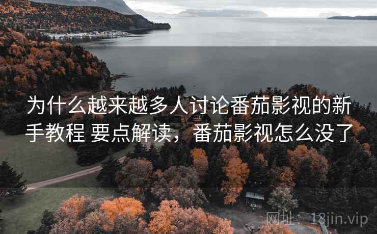 为什么越来越多人讨论番茄影视的新手教程 要点解读，番茄影视怎么没了