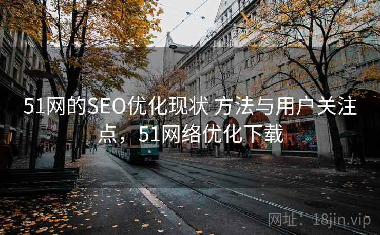 51网的SEO优化现状 方法与用户关注点，51网络优化下载
