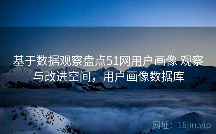 基于数据观察盘点51网用户画像 观察与改进空间，用户画像数据库