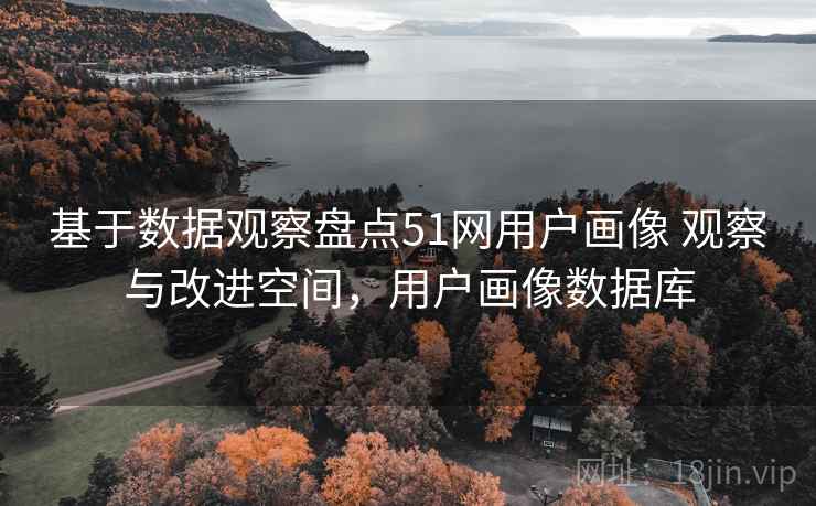 基于数据观察盘点51网用户画像 观察与改进空间，用户画像数据库