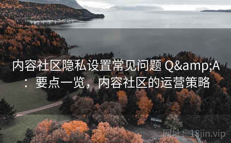 内容社区隐私设置常见问题 Q&A：要点一览，内容社区的运营策略