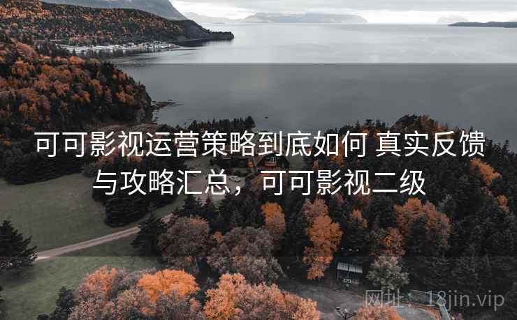 可可影视运营策略到底如何 真实反馈与攻略汇总，可可影视二级