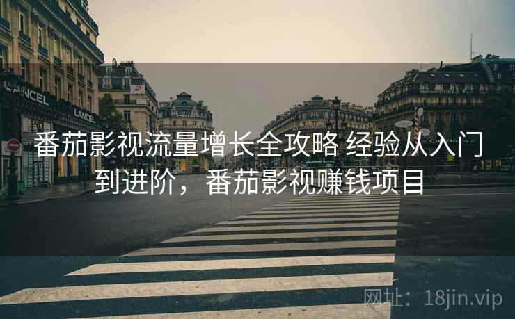 番茄影视流量增长全攻略 经验从入门到进阶，番茄影视赚钱项目
