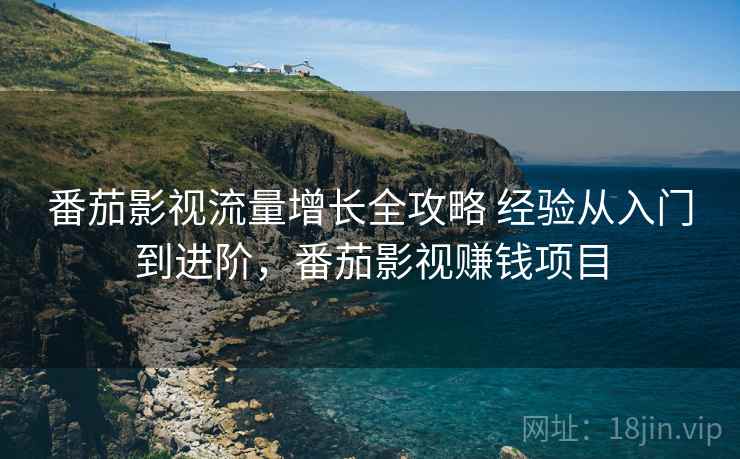 番茄影视流量增长全攻略 经验从入门到进阶，番茄影视赚钱项目