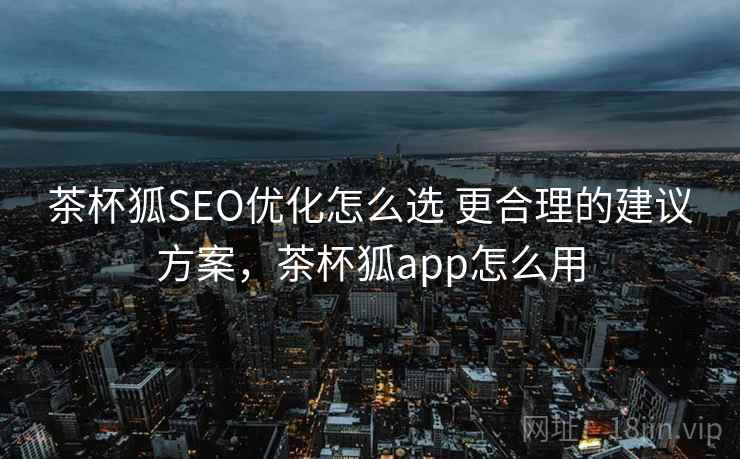 茶杯狐SEO优化怎么选 更合理的建议方案，茶杯狐app怎么用