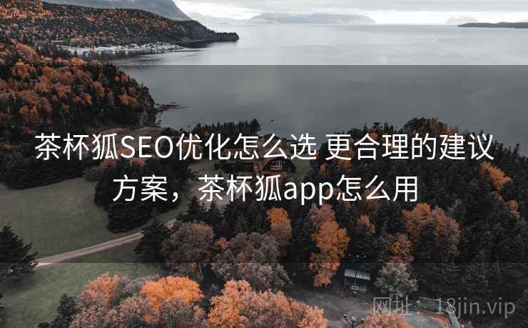 茶杯狐SEO优化怎么选 更合理的建议方案，茶杯狐app怎么用