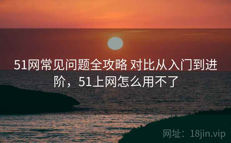 51网常见问题全攻略 对比从入门到进阶，51上网怎么用不了