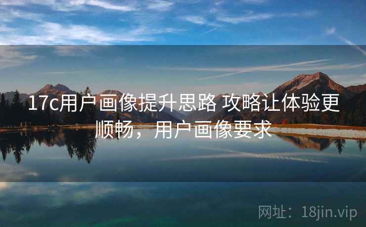17c用户画像提升思路 攻略让体验更顺畅，用户画像要求