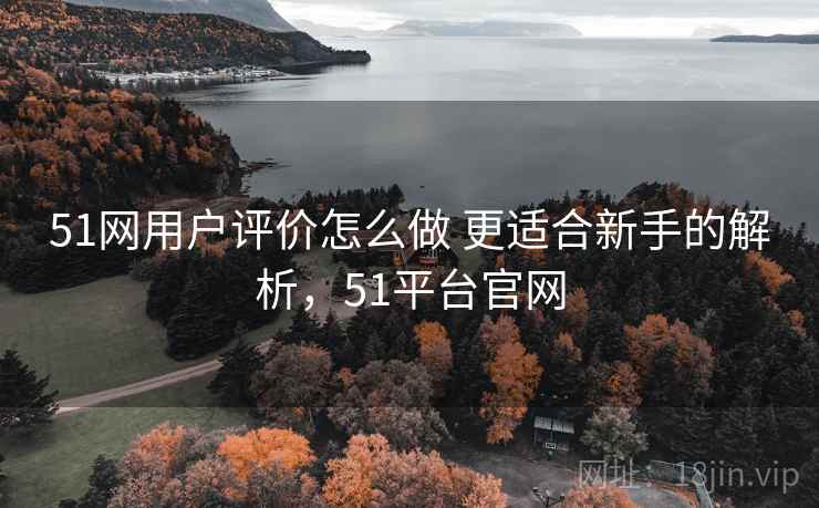 51网用户评价怎么做 更适合新手的解析，51平台官网